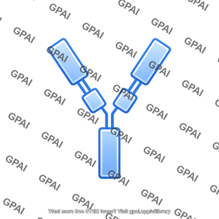 Antibody fragment fc editable 2 990