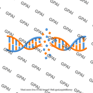 Dna unwound double stranded break