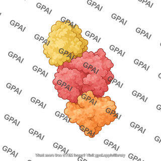 Ms2 p65 hsf1 complex