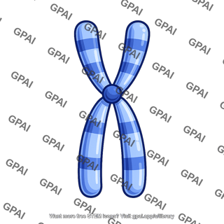 Human karyotype chromosome 19
