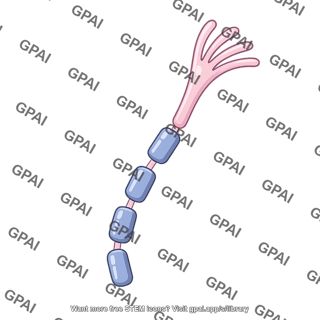 Il 1 tir domain