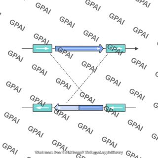Genome structural variation inversion