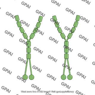 Pcdh19 dimer