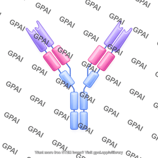 Antibody ige editable