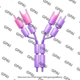 Antibody igd with domains