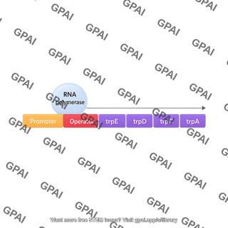 Trp operon