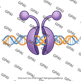 Dna gyrase dna gate