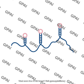 Xist rna 3