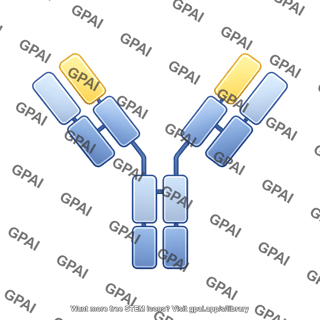 Antibody chimeric editable