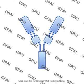 Antibody fragment fc 2 724