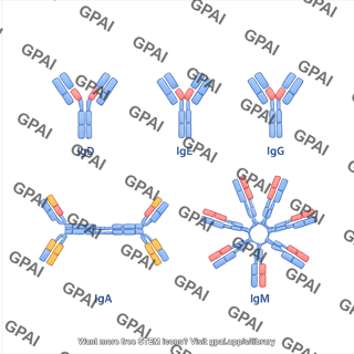 Antibody ig spectrum editable