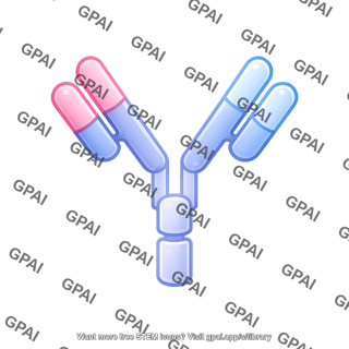 Antibody round style chimeric editable