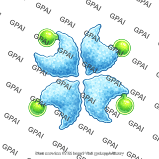 Streptavidin with biotin