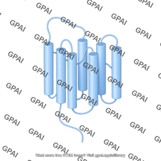 Gpcr folded 2