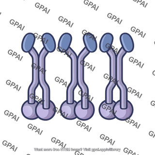 Rotavirus capsid protein