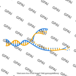 Dna unwinding