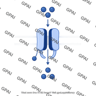 Voltage gated calcium channel in membrane 349