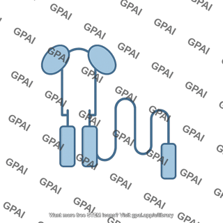 Fc receptor cd16
