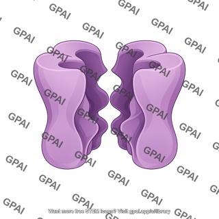 Potassium channel open