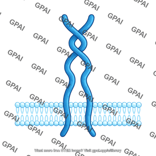 Tpo receptor active