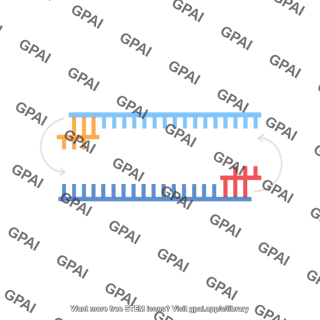 Rt pcr 3. primer annealing