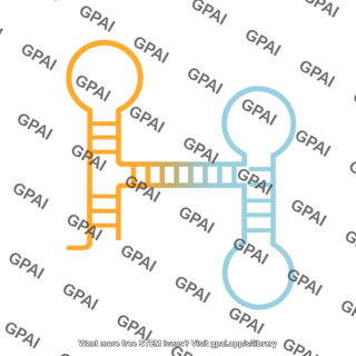 Pseudoknot hlout type 438