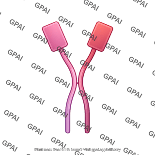 Cd8 dimer bent