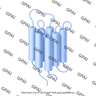 Gpcr folded editable