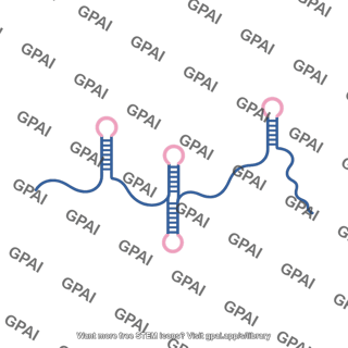 Xist rna 2