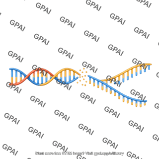 Dna unwound ssbreak long
