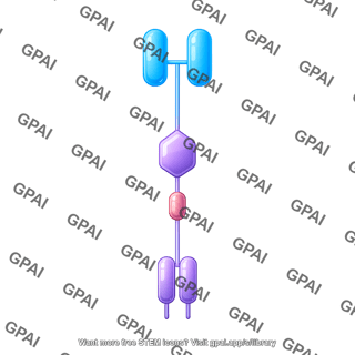 Car protein second generation
