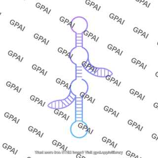 Rna small nucleolar