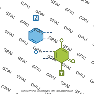 Base pair a t vertical