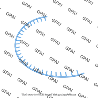 Ssdna curved