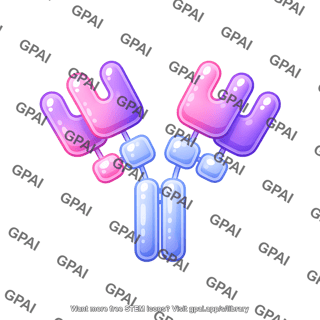 Antibody ige round style