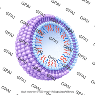 Polymersome monomers