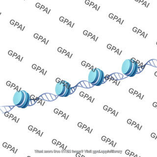 Nucleosomes chromatin open