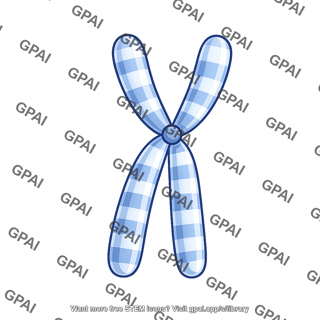 Human karyotype chromosome 7