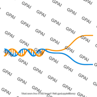 Dna unwinding open left