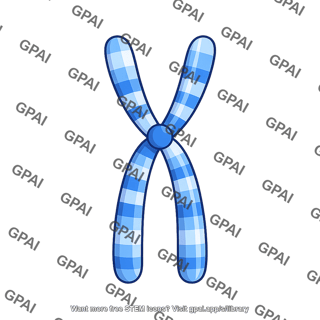 Human karyotype chromosome 4