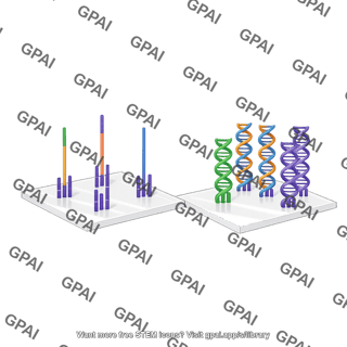 Dna library bridge amplification library hybridization