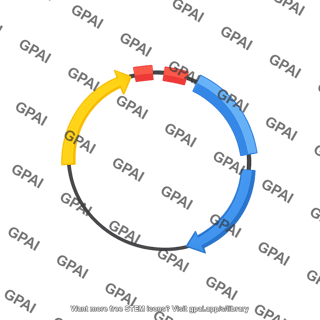Plasmid 4 parallel 1