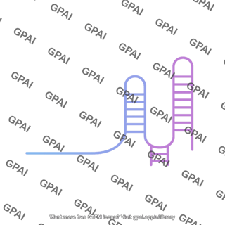 Single guided rna sgrna 4