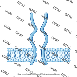 Tpo receptor inactive