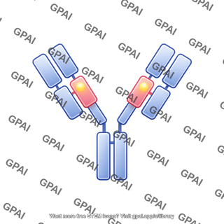 Antibody fragment fab and apos ab and apos