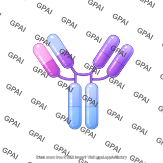 Antibody igg round style editable