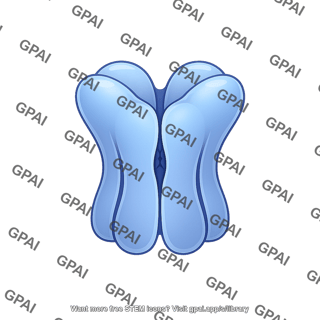 Ion channel ligand gated closed