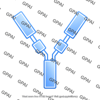 Antibody fragment fc editable 580