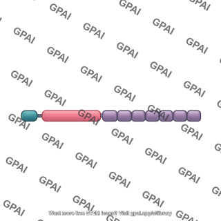 Inflammasome nlrp 2