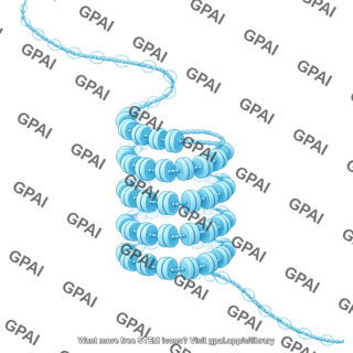Chromatin fibre 02